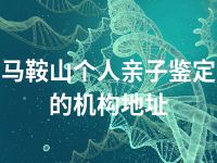 马鞍山个人亲子鉴定的机构地址