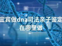 宜宾做dna司法亲子鉴定在哪里做