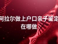 阿拉尔做上户口亲子鉴定在哪做