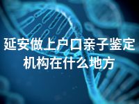 延安做上户口亲子鉴定机构在什么地方