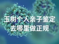 玉树个人亲子鉴定去哪里做正规