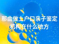 那曲做上户口亲子鉴定机构在什么地方