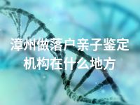 漳州做落户亲子鉴定机构在什么地方