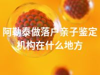 阿勒泰做落户亲子鉴定机构在什么地方