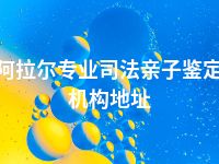 阿拉尔专业司法亲子鉴定机构地址