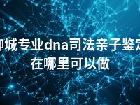 聊城专业dna司法亲子鉴定在哪里可以做
