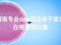 塔城一般在哪里做孕期亲子鉴定