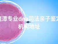 鹰潭专业dna司法亲子鉴定机构地址
