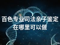 百色专业司法亲子鉴定在哪里可以做