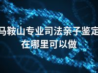 马鞍山专业司法亲子鉴定在哪里可以做
