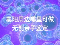 襄阳周边哪里可做无创亲子鉴定