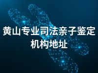 黄山专业司法亲子鉴定机构地址