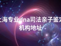 上海专业dna司法亲子鉴定机构地址