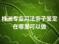 株洲专业司法亲子鉴定在哪里可以做