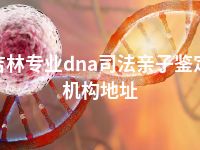 吉林专业dna司法亲子鉴定机构地址