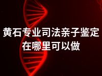 黄石专业司法亲子鉴定在哪里可以做