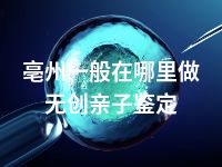 亳州一般在哪里做无创亲子鉴定