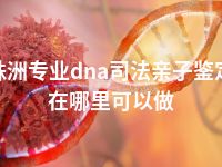 株洲专业dna司法亲子鉴定在哪里可以做