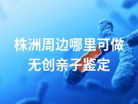 株洲周边哪里可做无创亲子鉴定