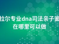 阿拉尔专业dna司法亲子鉴定在哪里可以做