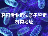 襄阳专业司法亲子鉴定机构地址