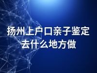 扬州上户口亲子鉴定去什么地方做