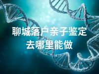 聊城落户亲子鉴定去哪里能做