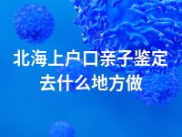 北海上户口亲子鉴定去什么地方做