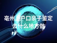 亳州上户口亲子鉴定去什么地方做
