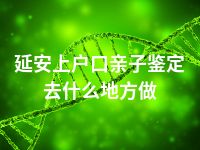 延安上户口亲子鉴定去什么地方做
