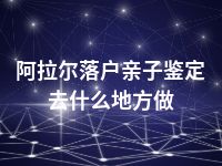 阿拉尔落户亲子鉴定去什么地方做