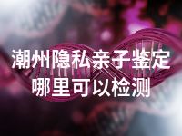潮州隐私亲子鉴定哪里可以检测