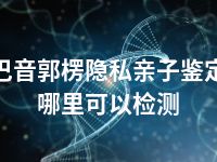 巴音郭楞隐私亲子鉴定哪里可以检测