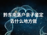 黔东南落户亲子鉴定去什么地方做
