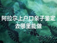 阿拉尔上户口亲子鉴定去哪里能做