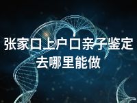 张家口上户口亲子鉴定去哪里能做