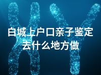 白城上户口亲子鉴定去什么地方做