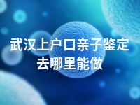 武汉上户口亲子鉴定去哪里能做