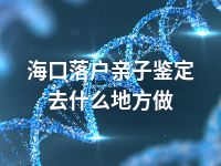 海口落户亲子鉴定去什么地方做