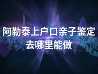 阿勒泰上户口亲子鉴定去哪里能做