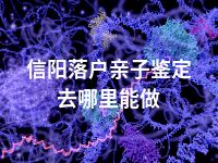 信阳落户亲子鉴定去哪里能做