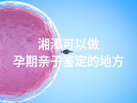 湘潭可以做孕期亲子鉴定的地方