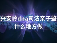 大兴安岭dna司法亲子鉴定什么地方做