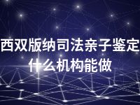西双版纳司法亲子鉴定什么机构能做