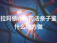 克拉玛依dna司法亲子鉴定什么地方做