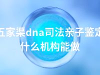 五家渠dna司法亲子鉴定什么机构能做