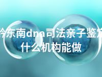 黔东南dna司法亲子鉴定什么机构能做