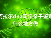 阿拉尔dna司法亲子鉴定什么地方做