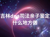 吉林dna司法亲子鉴定什么地方做