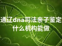 通辽dna司法亲子鉴定什么机构能做